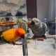 头像