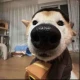 头像