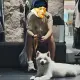 头像