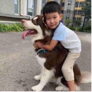 头像