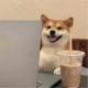 头像