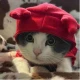 头像